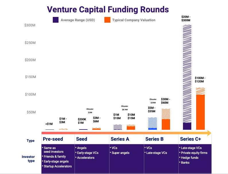 Venture Capital Funding Rounds for Beauty Brands