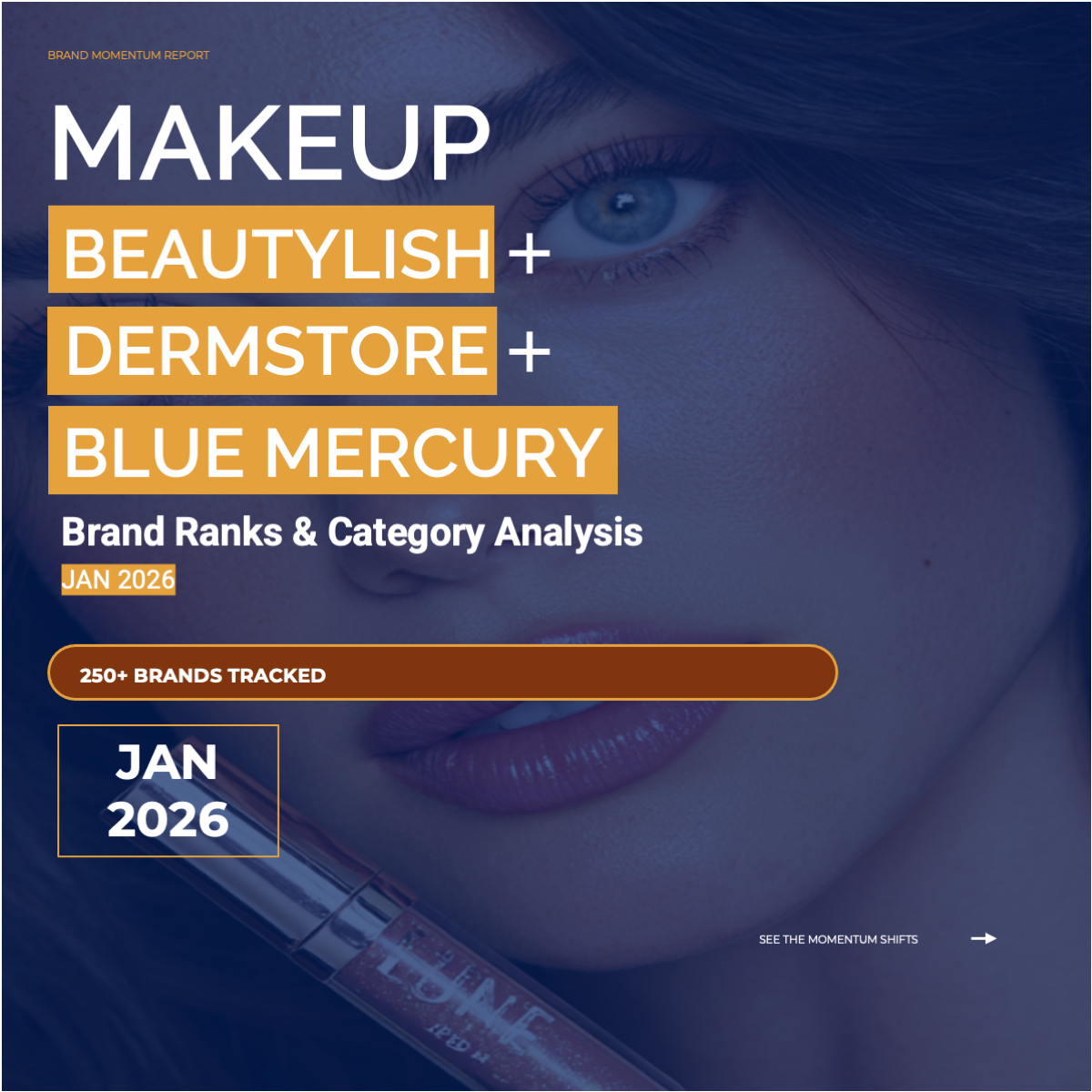 Jan 2026 Makeup: Beautylish + Blue Mercury + Dermstore Brand Ranks